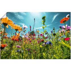 Leinwand-Bilder Wandbild Canvas Kunstdruck 100x50  Gebirge Blume Wiese Landschaf 