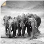 Schwarze Artland Rechteckige Digitaldrucke mit Elefantenmotiv aus Vinyl 100x100 