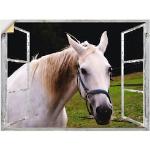 Weiße Artland Rechteckige Pferde Bilder mit Tiermotiv 90x120 