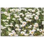 Weiße Artland Alu-Dibond Bilder mit Gänseblümchen-Motiv 60x90 