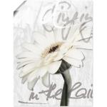 Weiße Zeitgenössische Artland Kunstdrucke mit Blumenmotiv aus Papier Hochformat 30x40 