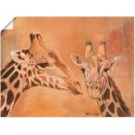 Giraffen-Bilder | Trends 2024 Günstig kaufen | online