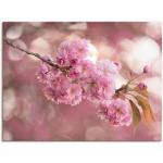 Pinke Asiatische Artland Kirschblüte Digitaldrucke handgemacht 90x120 