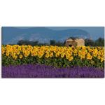 Gelbe Zeitgenössische Artland Lavendel Kunstdrucke mit Lavendel-Motiv Querformat 50x100 