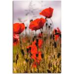 Rote Moderne Artland Kunstdrucke mit Blumenmotiv 60x90 