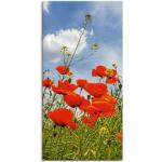 Rote Zeitgenössische Artland Mohnblumenbilder mit Blumenmotiv Hochformat 50x100 