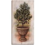 Artland Wandbild »Olivenbaum mit Holzoptik«, Pflanzen (1 Stück), grün