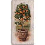 Artland Wandbild »Orangenbaum mit Holzoptik«, Bäume (1 Stück), grün