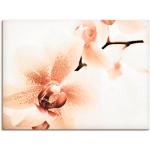 Artland Digitaldrucke mit Orchideenmotiv handgemacht 60x80 