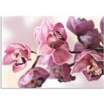 Pinke Artland Blumenbilder 50x70 