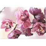 Pinke Artland Blumenbilder 50x70 