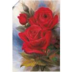 Rote Zeitgenössische Artland Rosenbilder Hochformat 20x30 