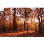 Braune Artland Sonnenaufgang Rechteckige Digitaldrucke aus Holz selbstklebend 80x120 
