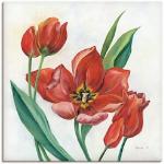 Artland Tulpenbilder mit Tulpenmotiv selbstklebend 100x100 