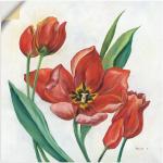 Rote Zeitgenössische Artland Quadratische Tulpenbilder mit Tulpenmotiv 70x70 