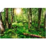 Wandbild ARTLAND "Wald" Bilder grün Kunstdrucke