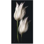 Schwarze Zeitgenössische Artland Tulpenbilder mit Tulpenmotiv Hochformat 50x100 
