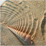 Sandfarbene Zeitgenössische Artland Dekoration 