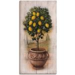 Artland Wandbild »Zitronenbaum mit Holzoptik«, Bäume (1 Stück), beige