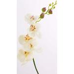 Cremefarbene Artplants.de Künstliche Orchideen 