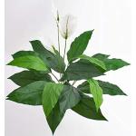 artplants.de Kunstpflanze Spathiphyllum Romy, weiß
