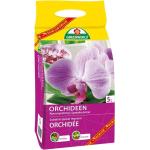 Flüssige Orchideen Dünger 5l 