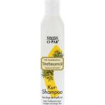 Silikonfreie Axisis Vegane Shampoos 250 ml mit Teebaumöl bei Schuppen für  fettiges Haar 