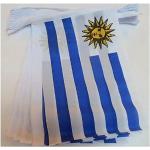 Uruguay Flaggen & Uruguay Fahnen aus Polyester 