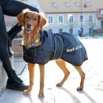 Schwarze Back on Track Hundekleidung 