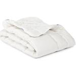 Gesteppte IRISETTE Merino Wash Nachhaltige Matratzenauflagen & Unterbetten aus Baumwolle 