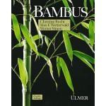 Weißer Bambus frostfest 