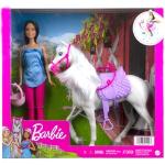 Mattel FXH13 Barbie Pferd und Puppe OVP 
