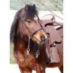Barefoot Walnut Pony Bitless Bridle Gebisslos In 2 Farben Ridershorsestore 4015