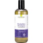 Französische Silikonfreie GREENDOOR Bio Shampoos 500 ml mit Lavendel für  strapaziertes Haar 