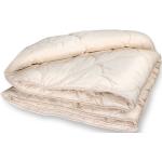 Bettdecken & Oberbetten aus Baumwolle trocknergeeignet 220x220 für den für den Winter 