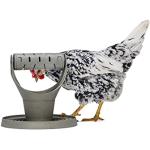 Reduzierte Beeztees Hühnertränken aus Kunststoff 
