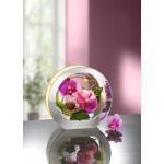 Lavendelfarbene bader Runde Künstliche Orchideen im Glas 