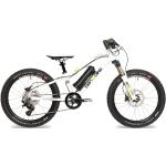 ben-e-bike, TWENTY E-Power PRO, 20" Kinder E-Bike 2024