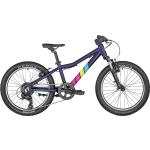 Bergamont Bergamonster 20 Fahrrad Fahrrad Herren shiny metallic purple