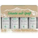Bergland Wellness Saunen mit Spaß Saunaaufguss 4 x 50 ml