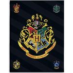 Harry Potter Hogwarts Kuscheldecken & Wohndecken aus Polyester maschinenwaschbar 150x200 für den für den Frühling 