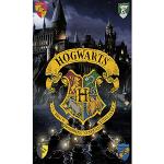 Harry Potter Hogwarts Strandlaken aus Baumwolle maschinenwaschbar 75x150 