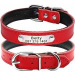 Berry Verstellbares Leder-Halsband, gepolstert, für Haustiere, mit graviertem Namensschild, für Katzen und kleine bis mittelgroße Hunde, personalisierbar