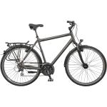 Bicycles EXT 700+ Fahrrad Herren grau matt