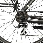 Bicycles EXT 700+ Wave Fahrrad Damen grau matt