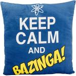 Big Bang Theory The Keep Calm and Bazinga“ – ca. 4