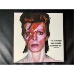 David Bowie Kunstdrucke aus Holz 25x25 