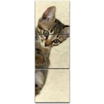 Braune Bilderdepot24 Rechteckige Mehrteilige Leinwandbilder mit Katzenmotiv aus MDF 30x90 3-teilig 