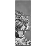 Graue Bilderdepot24 Rechteckige Mehrteilige Leinwandbilder mit Leopard-Motiv aus MDF 30x90 3-teilig 