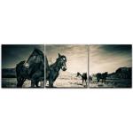 Graue Bilderdepot24 Rechteckige Mehrteilige Leinwandbilder mit Pferdemotiv aus MDF Querformat 30x90 3-teilig 